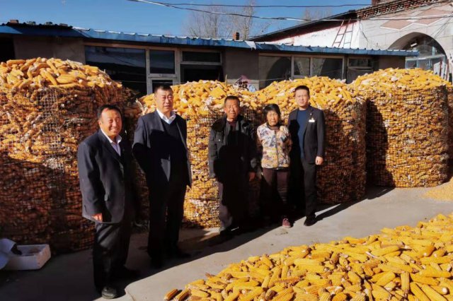 ɽ��ũ������ϸ�����˰취�γ����պ���