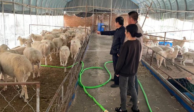 ɽ��ũ�����дٽ�ȫԱӪ���ȫ�����