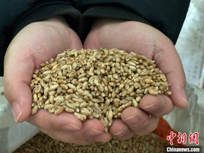 ���������һҳ