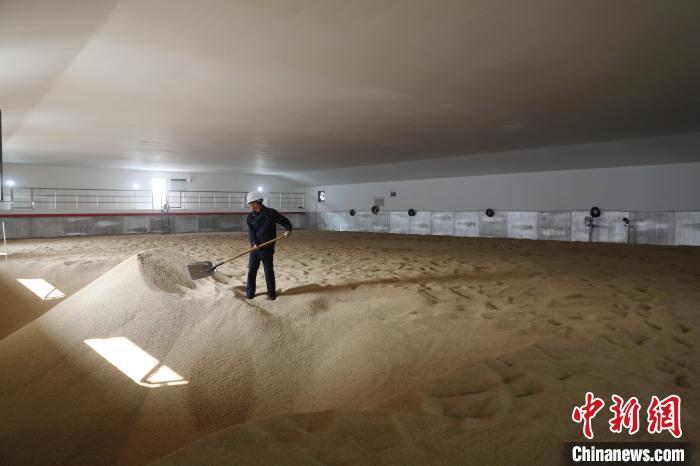 ���������һҳ