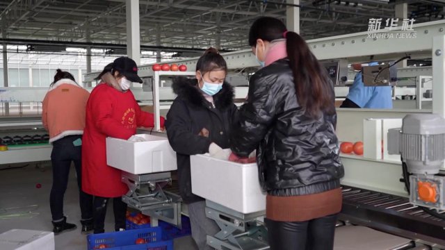 �Ȳ�ҵ�پ�ҵ �ٽ�������ˡ������ܡ�