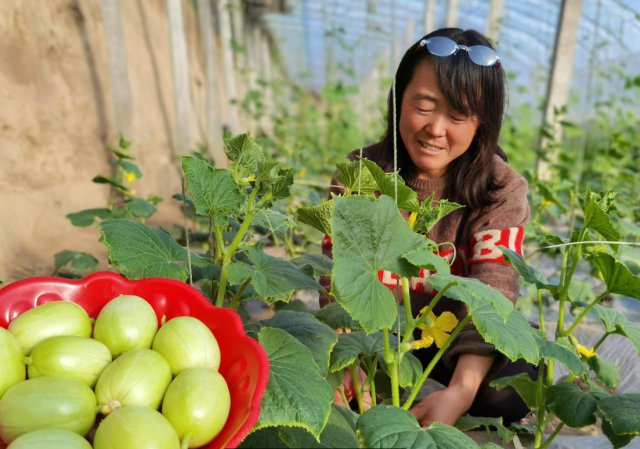 ��ͬũ���磺������ά�ȡ��ӿ��Ŵ�Ͷ�� ֧�ֵط����÷�չ