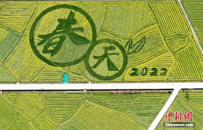 ��԰��⡣<a target='_blank'  data-cke-saved-href='/' href='/'>������</a>�� ��� �� ͼƬ��Դ��CNSphoto