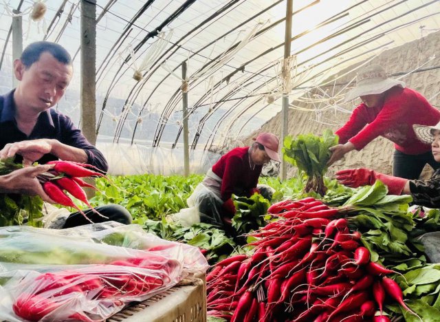 С�����ֳ��á�Ǯ����