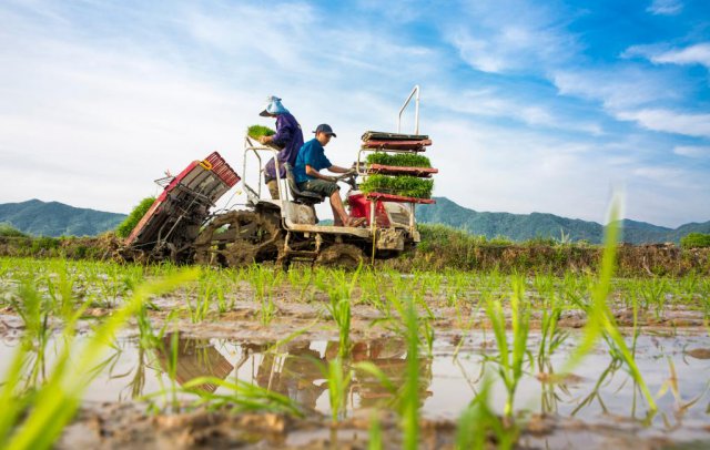 ������ս�£����ץ��ץ�Ρ��״��ӡ��������ӡ���