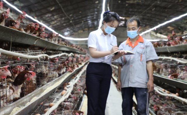 ����ʵ�徭�ã�ɽ����ͬũ�������и���