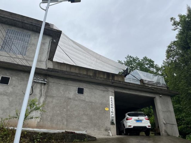 ̽������ʳ����ٵ�������Ӫ����ϵС������֤����ȫ