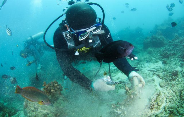 ��̬�������йظ����˽��������Ⱦ�������ж�������