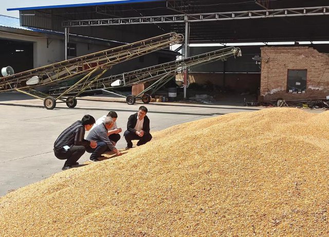 ɽ��ɽ��ũ�����У���������������� ��������������չ