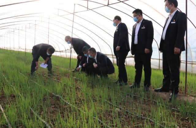 ɽ�����������磺ǿ�����ڷ��� ������ʳ�������