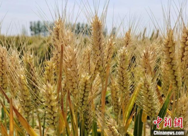 С�󡢴����ܻ�����ȴ��һ��ͻȻ��������ô���£�