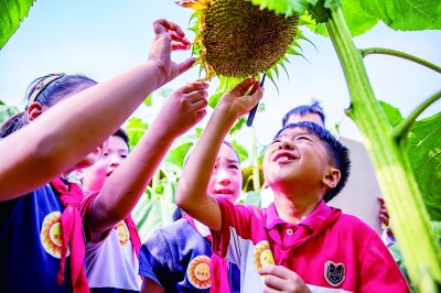 �ӡ���˵��������������������������������������