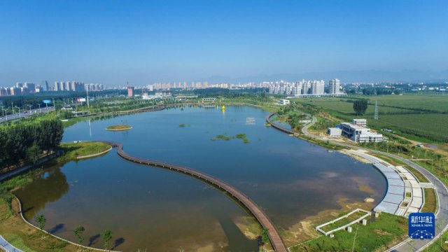 Я�ֺǻ�ĸ�׺ӡ����ƺ�����ʡ�ʺ�����̬��������ʵ��