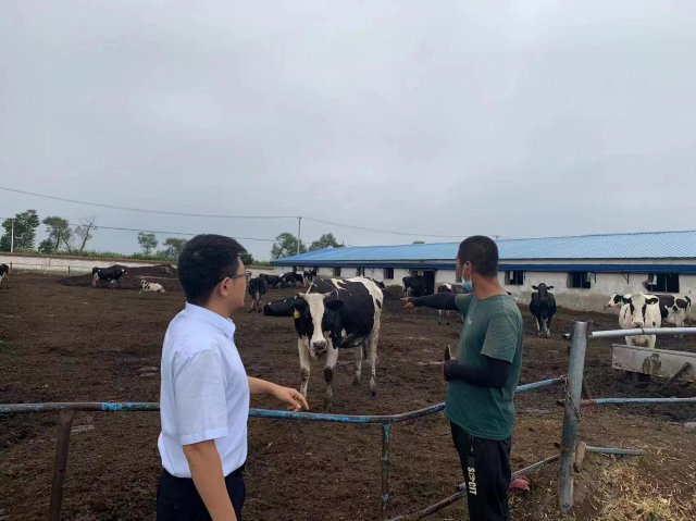 ��ţ����Ѻ��ɽ�����������紴�´���ģʽΪ����ҵ����