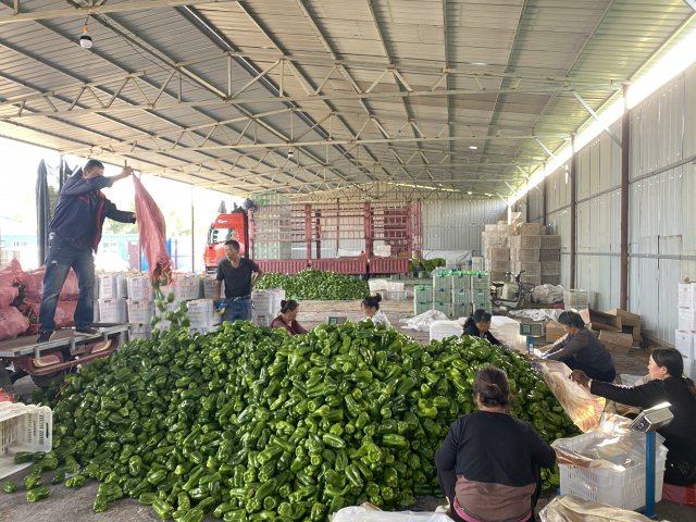 ɽ�����������磺������������ ������ˡ��¸�·��