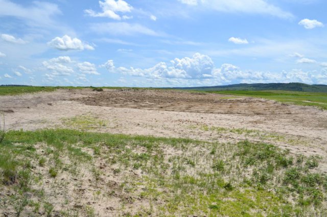 ���ױ���ɳ��������ĿЧ������