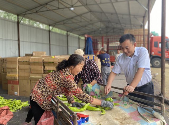 ɽ�������������Ƴ����ࡰ�Ŵ��ײ͡�ȫ�����������ӹ�Ӧ����