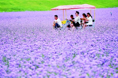 文旅融合高质量发展:赋彩新时代美好生活