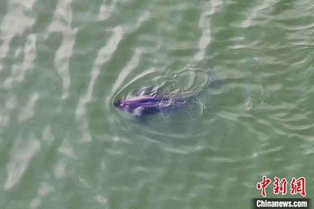 �й����ˮ��۶����ˮ���Ȳ����� ������������