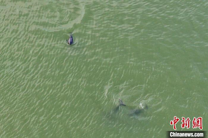 ͼΪ3-4ͷ������ˮ�г��Σ�ʱ��������Ϸ��ʱ�����ϼҴ��ڡ�Я����ͬ�Ρ�(����ͼ) ��ռ�� ��