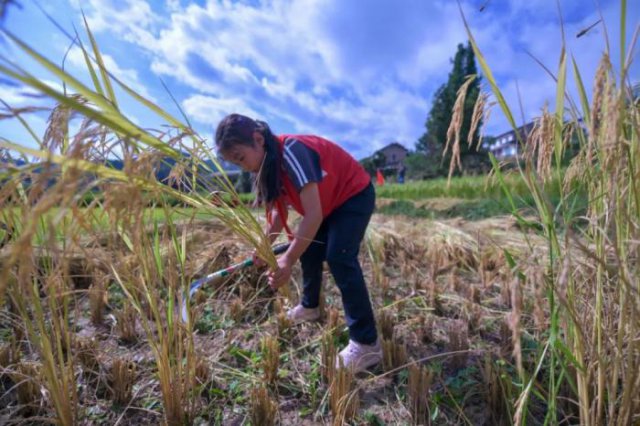 �Ͷ���д����ѧ�ڿα�����ʲô�������ϣ�