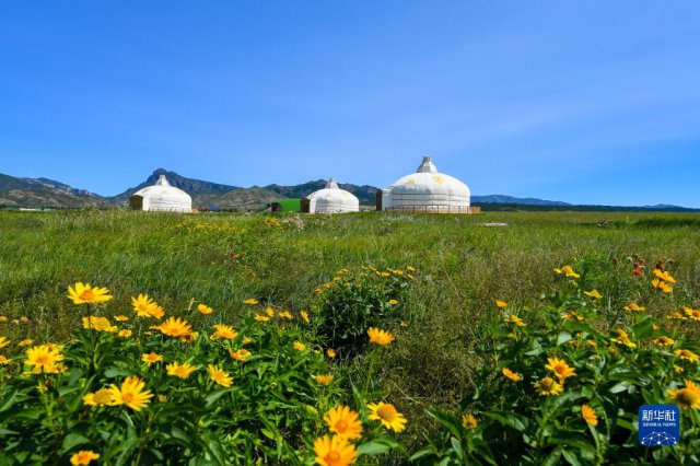 ��մ������ɰʯ̲���ع���ԭ