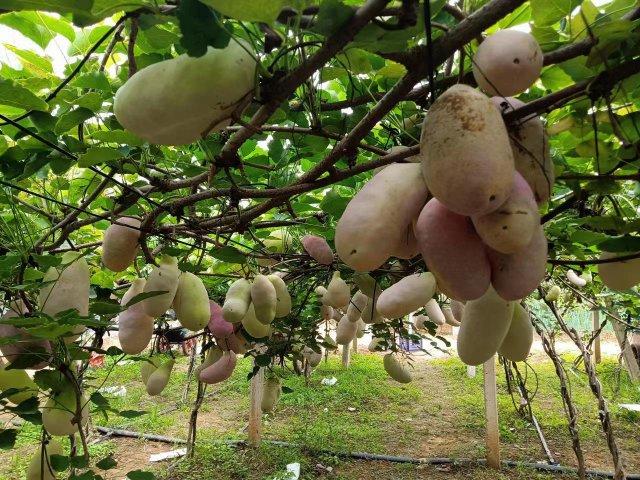 ɽ��ʡƽ½�زܴ����½��壺������ը��ը���¸�·