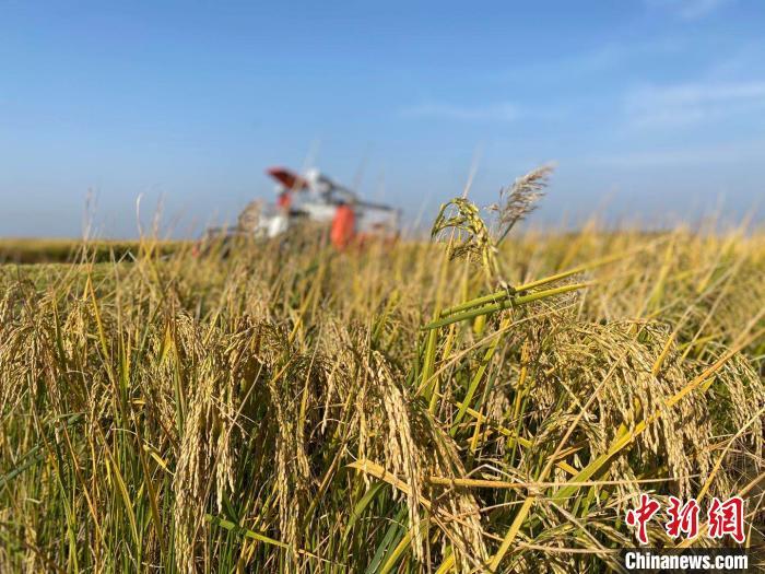 资料图。张玮 摄