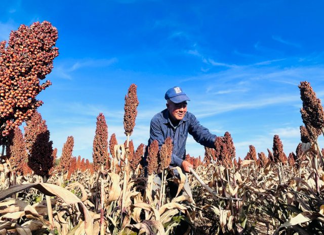 �����ů��������