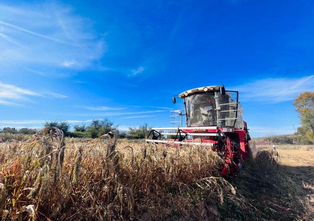 ��ؽ��ӳ��ɫ ũ��ϲ���ո�æ