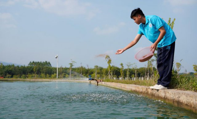 ��������Ͽ����ġ���̬�ػ�����