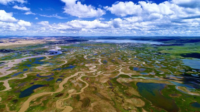 ���ҹ�԰�������� ���ຣ������������Զ