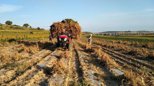 ��ܿ�����ռ����á���˼�������������