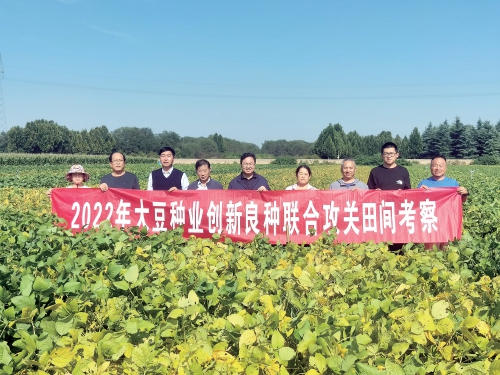 攥紧中国种子 做足山西分量