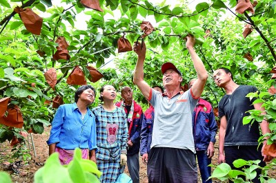 农民评职称,让更多“田秀才”脱颖而出