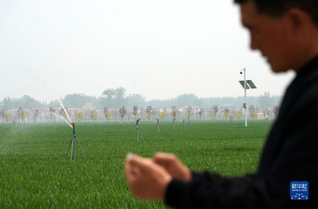 �᳹��ʵ���Ķ�ʮ�����ƶ��в������ӿ췢չ�۲�