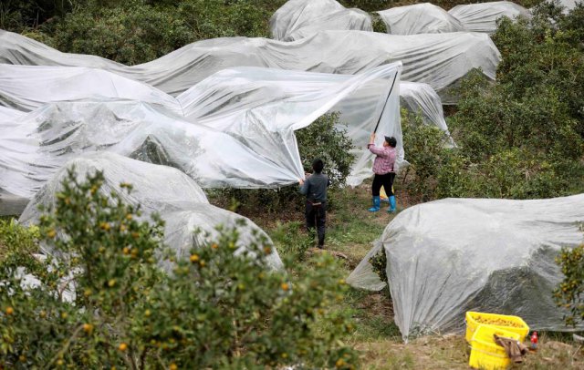 �����ڰ���һ��С��ۺ��Ա������ƽ𡱲�ҵ