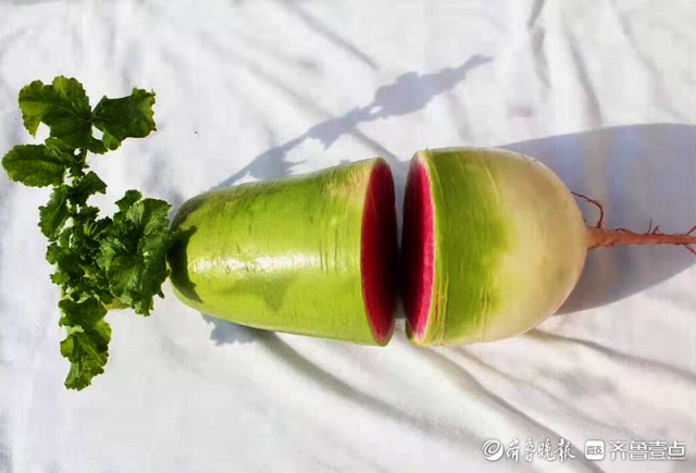 ˮ���ܲ����ԡ��ǹ���