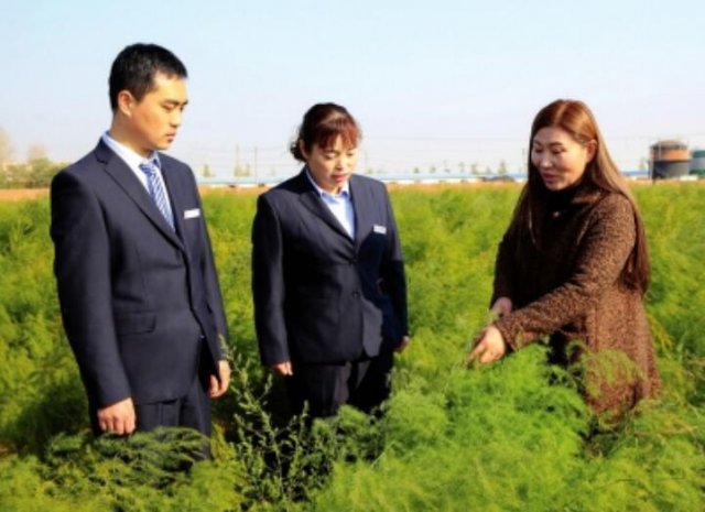 ���Ͽ��أ�������������ͼ��