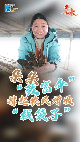 ���ս��ף���䡰�¸�ɡ������ũ�����ա�Ǯ���ӡ�