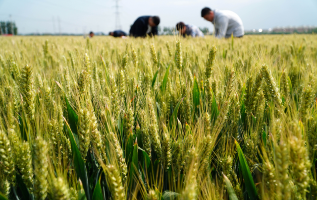 ũҵ���У�����2022��ĩ������������������7.31����Ԫ