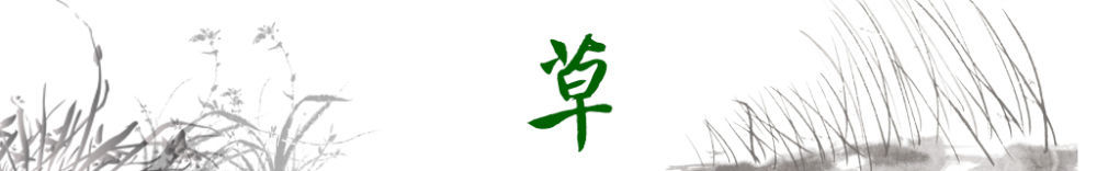 卫星视角丨跟着总书记的足迹,感受中国生态变迁