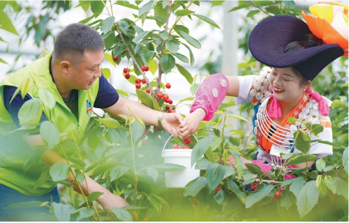 贵州贵阳市花溪区:驻村帮扶促振兴