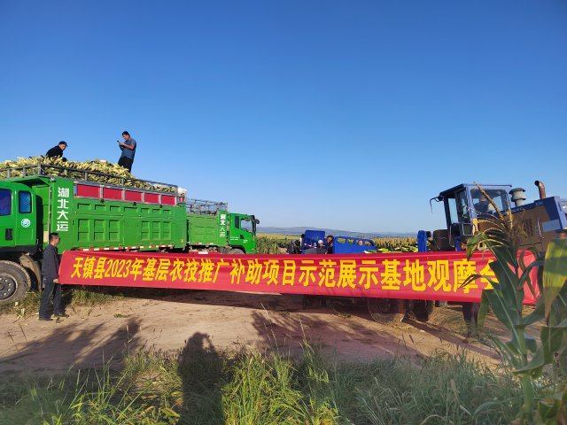 ر壺һףũ¸