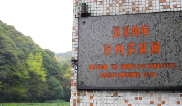 ���ӵ����������ع��Ҳ���������Դ�Եġ����ػ���