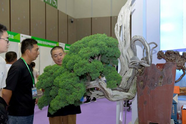 �ֽ��ᴵ����ɫ��̼���·硱