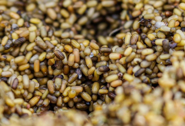 ��½��������15�꣬�����ں��ס���Į���ֳ�һƬ�����ޡ�