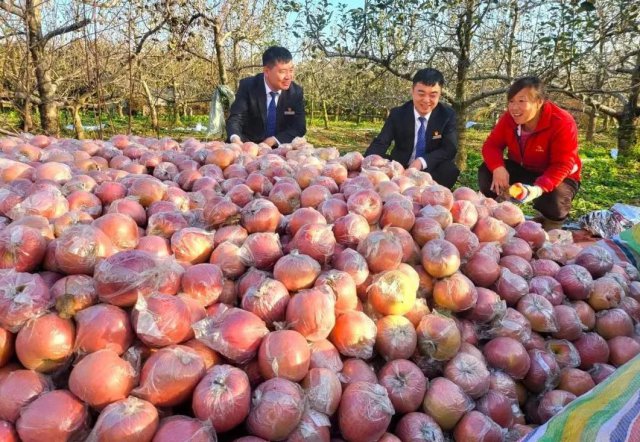 ɽ�����ũ�����У���������������ƻ������