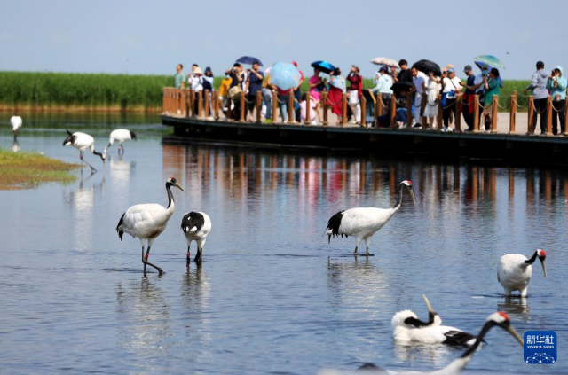 �������ƶ�ʪ�ر����޸�ʵ���۲�