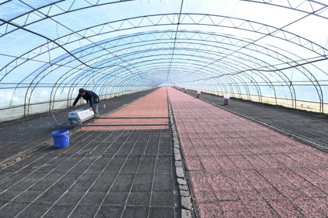 ͸��2024���׼��й�����